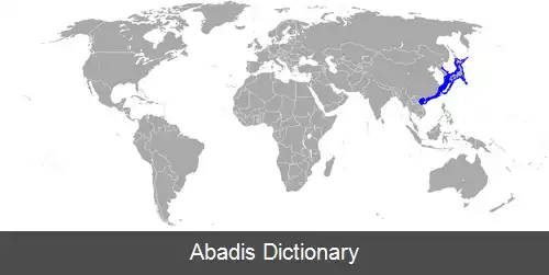 عکس کفشک بیدی
