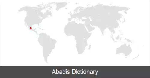 عکس سنجاب پیترز