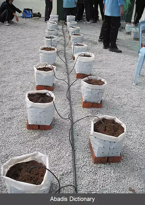 عکس آبیاری شیمیایی