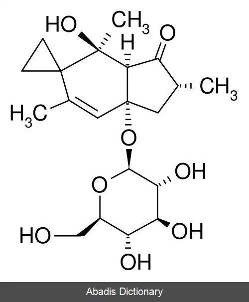 عکس تاکیلوزید