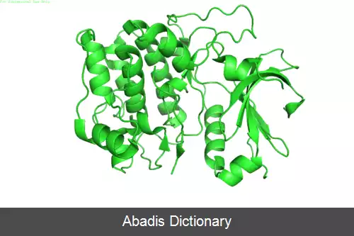 عکس پروتئین کیناز بی