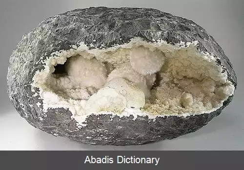 عکس اوکنیت
