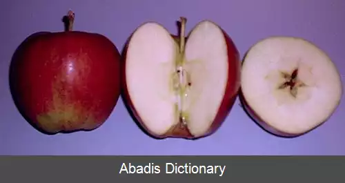 عکس سیب بربرن