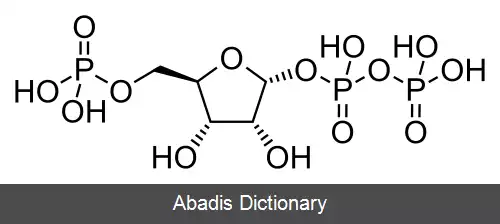 عکس فسفوریبوزیل پیروفسفات