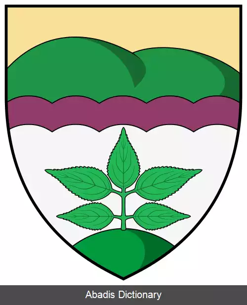 عکس بورزاوار