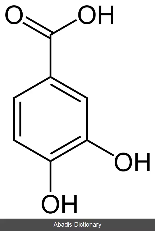 عکس پروتوکاتکویک اسید