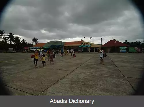 عکس فرودگاه گدفریدو پی راموس