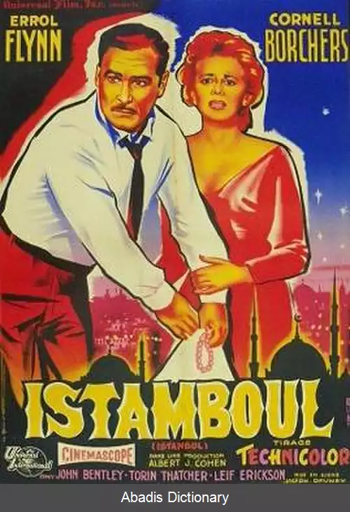 عکس استانبول (فیلم)