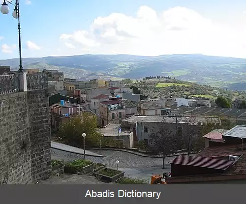 عکس ویتسینی