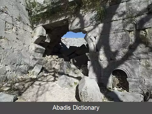 عکس سلگه