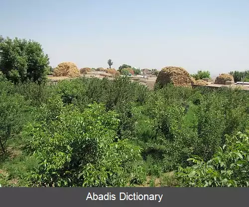 عکس قلعه جوق سبلان