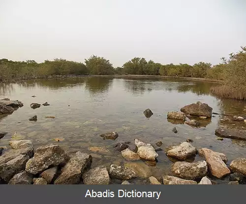 عکس جزیره الخور