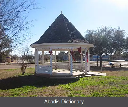 عکس دیلی تگزاس