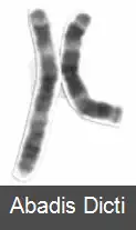 عکس کروموزوم ۳ (انسان)