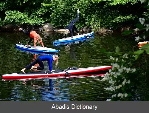 عکس پدل برد