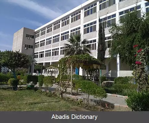 عکس دانشگاه اسوان
