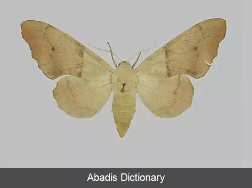 عکس فهرست میراث جهانی در تاجیکستان