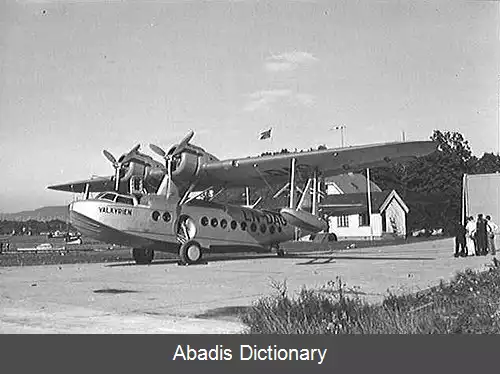 عکس فرودگاه گرس شولمن