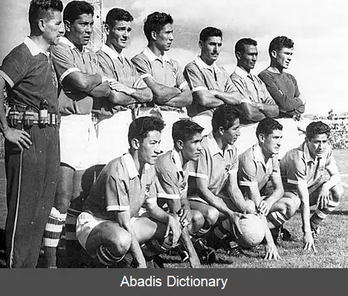 عکس جام ملت های آمریکای جنوبی ۱۹۶۳