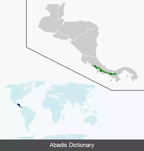 عکس زمردی دم سفید