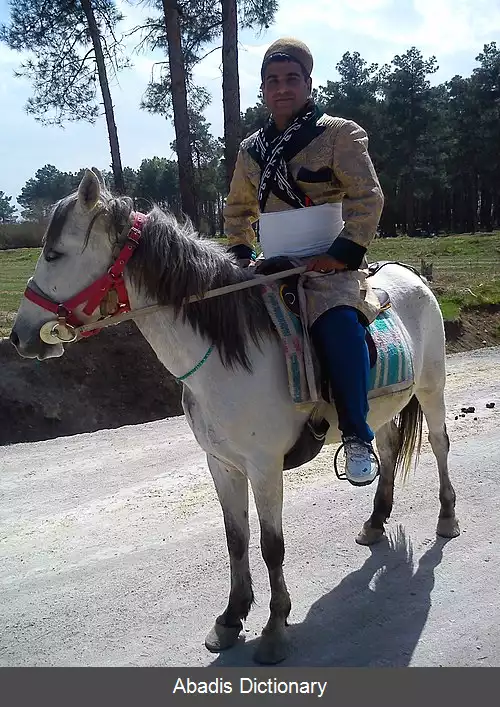 عکس ستره لری