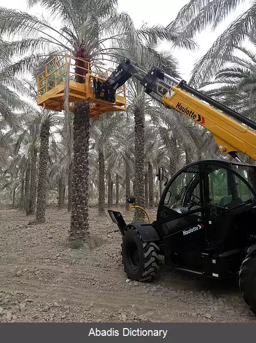 عکس ماشین برداشت خرما