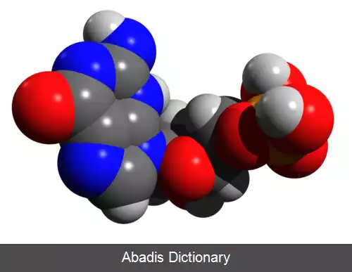 عکس گوانوزین مونوفسفات