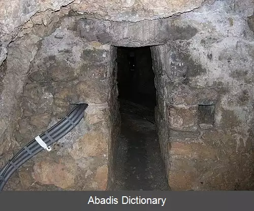 عکس اوپالینوس