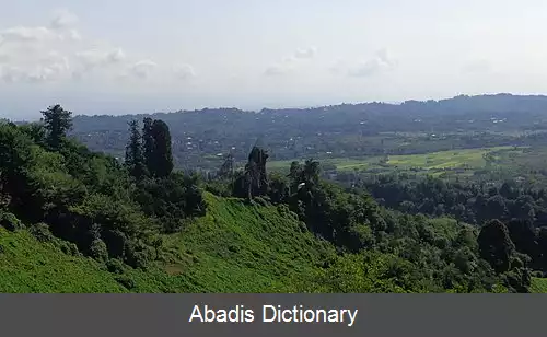 عکس خریالتی