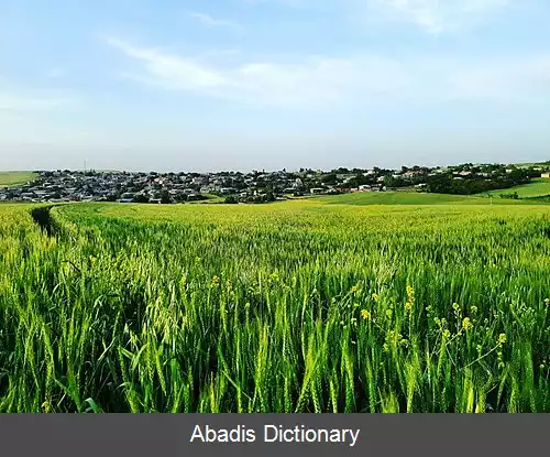 عکس فولادلوقویی