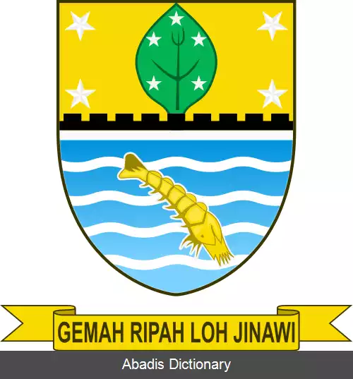 عکس سیریبون