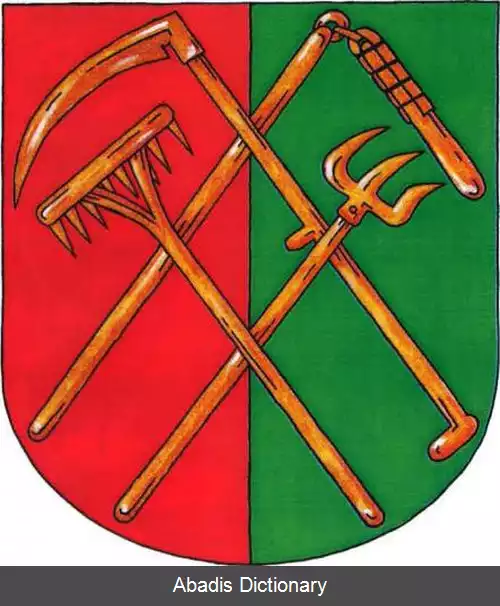 عکس زنیتینک