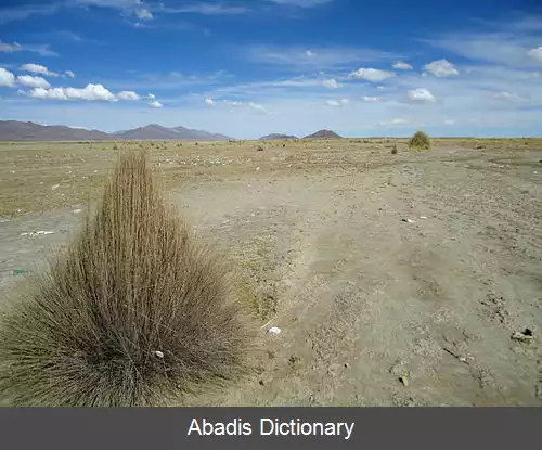 عکس استان پانتالئون دالنس