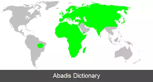 عکس عنکبوت های مخملی