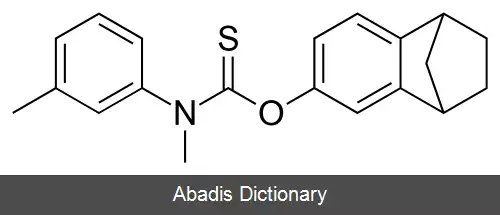 عکس تولسیکلات