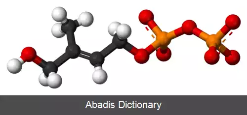 عکس (E) ۴ هیدروکسی ۳ متیل بوت ۲ انیل پیروفسفات