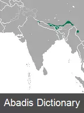 عکس حشره خوار هیمالیا