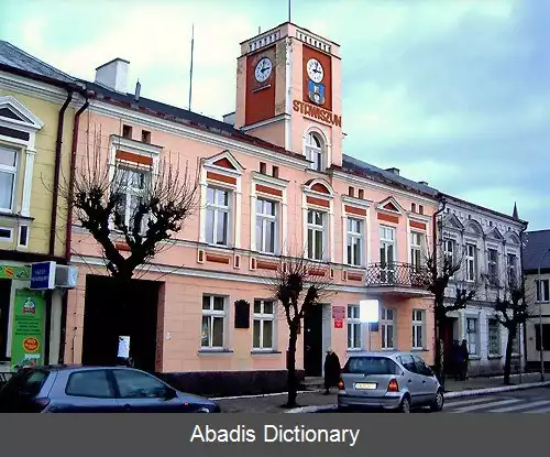 عکس استاویزین