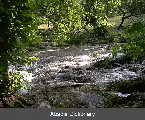 عکس اسپرینگ برانچ شهرستان کومال تگزاس