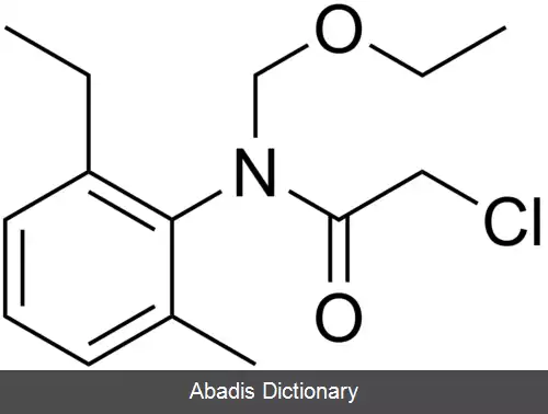 عکس استوکلر