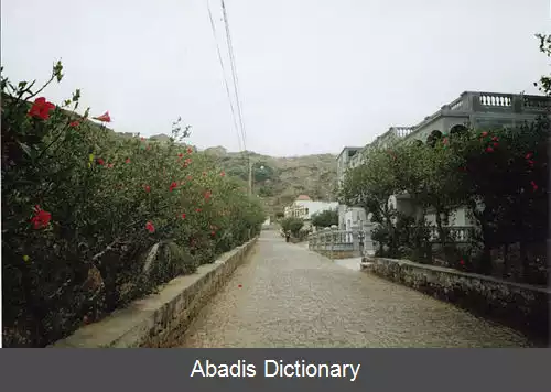 عکس کوا جووانا