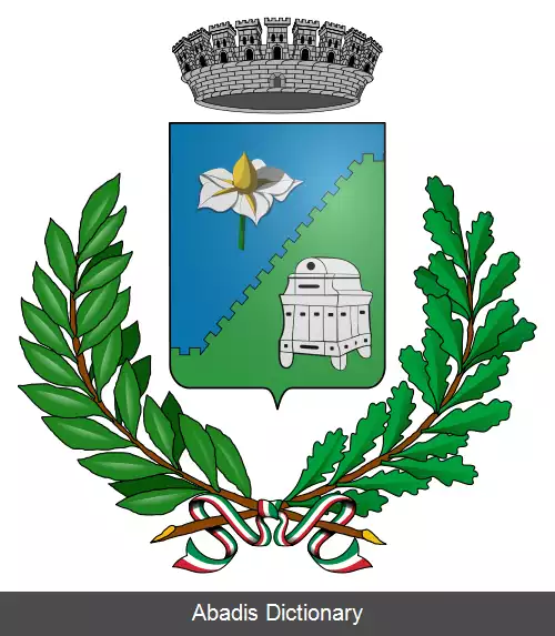 عکس سفروتز