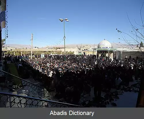 عکس آستان شاهزاده قاسم