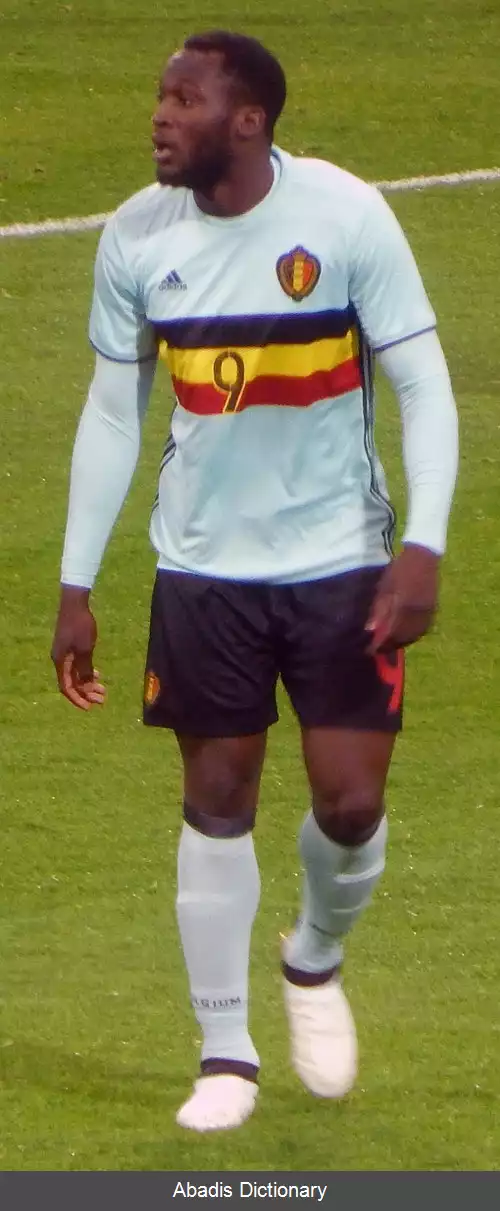 عکس فهرست گل های ملی روملو لوکاکو