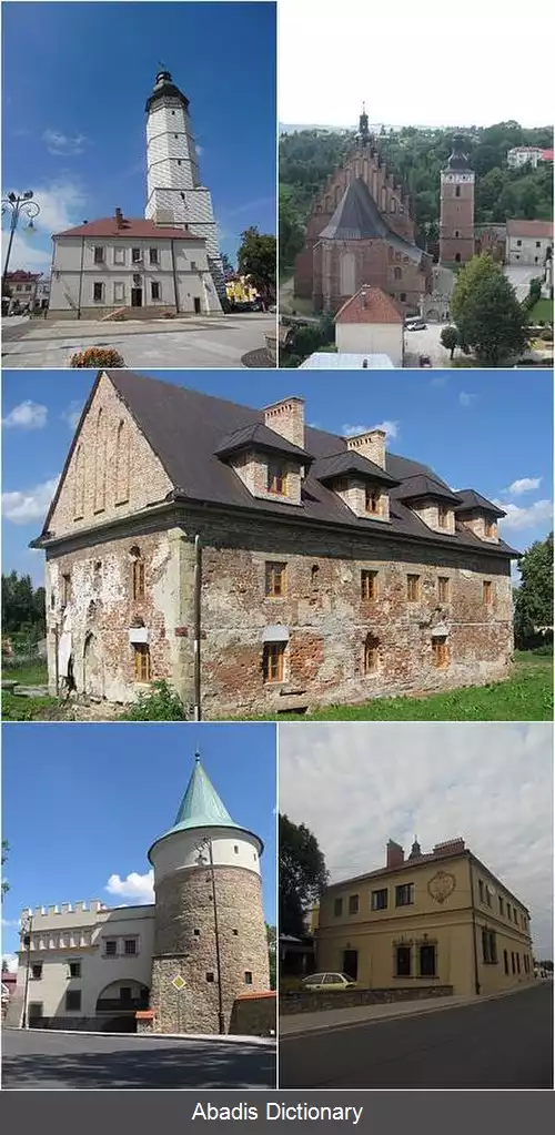 عکس بیسز