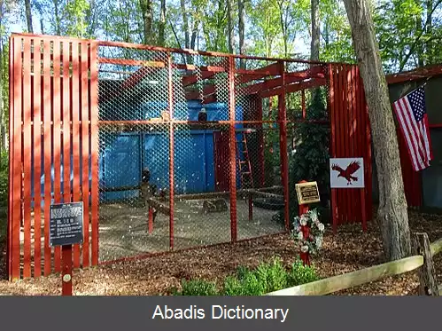 عکس رپتور تراست