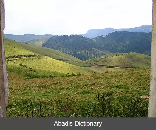 عکس جنگل گیشواتی