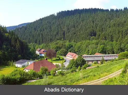 عکس زیلبر هوته