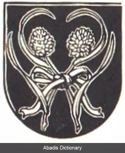 عکس روکانیه