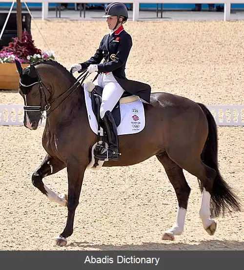 عکس اسب سواری در بازی های المپیک تابستانی ۲۰۱۲